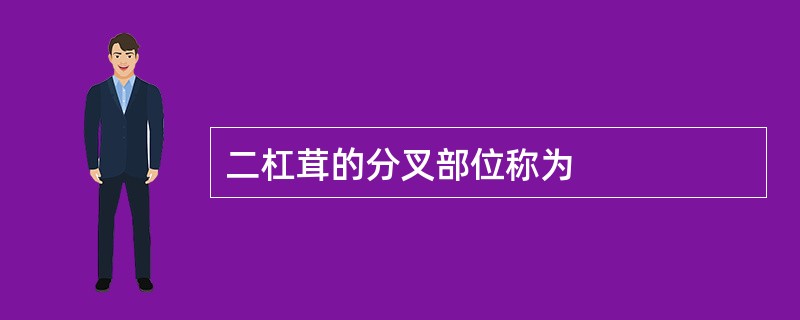 二杠茸的分叉部位称为