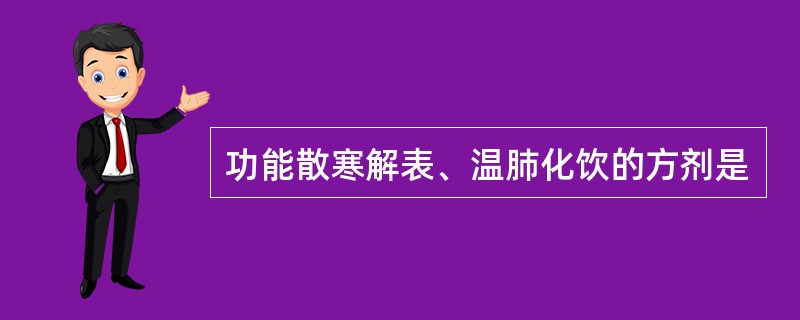 功能散寒解表、温肺化饮的方剂是