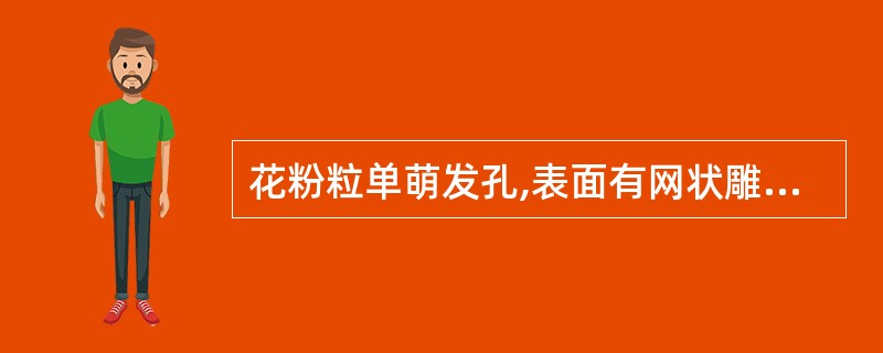 花粉粒单萌发孔,表面有网状雕纹的药材是A、丁香B、辛夷C、洋金花D、蒲黄E、金银