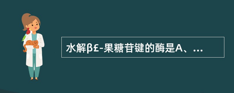 水解β£­果糖苷键的酶是A、苦杏仁酶B、转化糖酶C、麦芽糖酶D、纤维素酶E、蜗牛