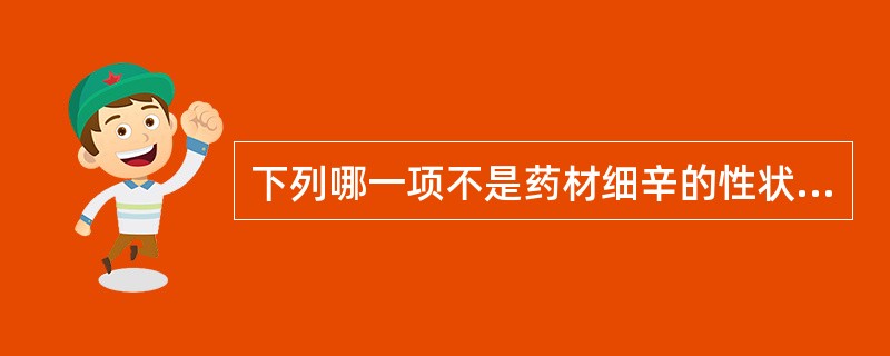 下列哪一项不是药材细辛的性状鉴别特征A、常卷缩成团B、根茎横生,呈不规则圆柱状C