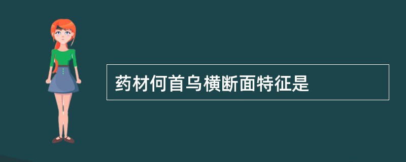 药材何首乌横断面特征是