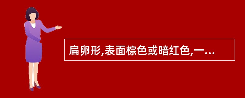 扁卵形,表面棕色或暗红色,一端尖而微凹,凹处现白色点。此药材是