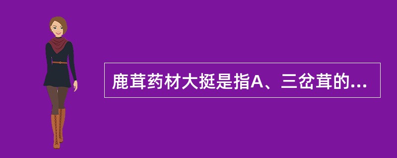 鹿茸药材大挺是指A、三岔茸的主干B、四岔茸的主干C、二杠茸的主干D、三岔茸的侧枝