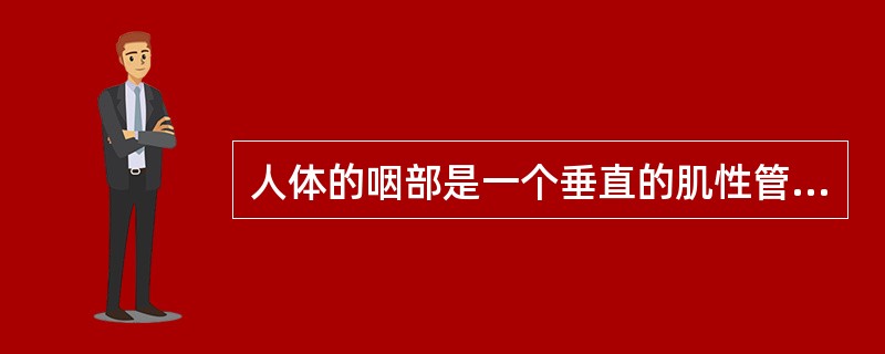 人体的咽部是一个垂直的肌性管道,略呈()形。