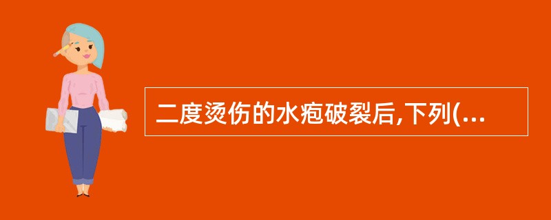 二度烫伤的水疱破裂后,下列()项叙述不正确。