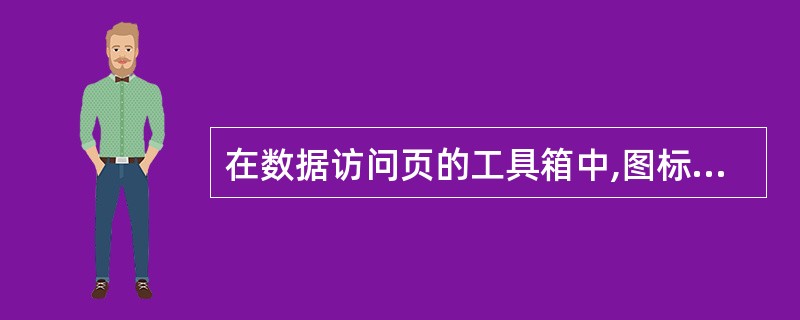 在数据访问页的工具箱中,图标的名称是()。