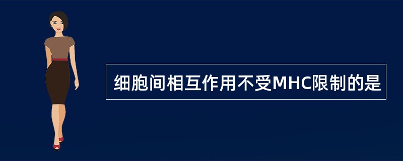 细胞间相互作用不受MHC限制的是