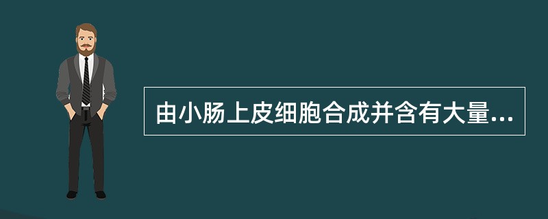 由小肠上皮细胞合成并含有大量三酰甘油的血浆脂蛋白是