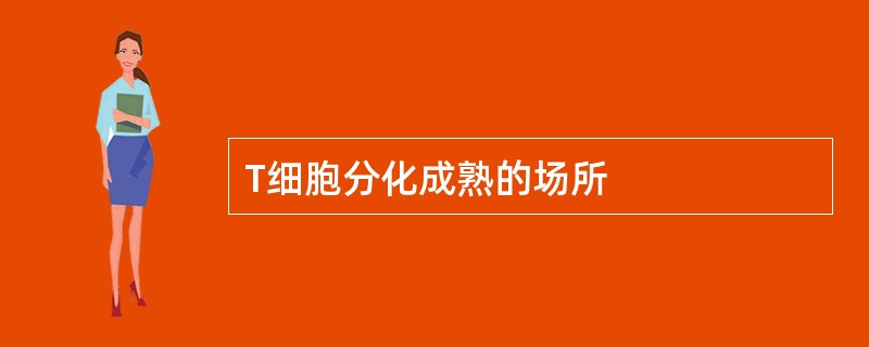 T细胞分化成熟的场所