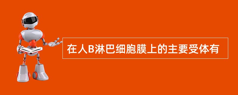 在人B淋巴细胞膜上的主要受体有