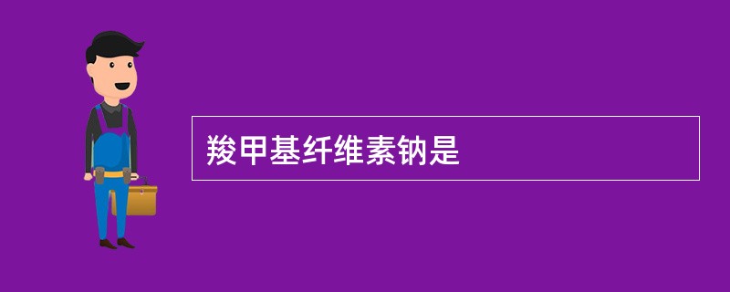 羧甲基纤维素钠是