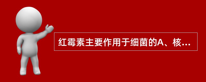 红霉素主要作用于细菌的A、核酸B、DNA螺旋酶C、叶酸D、30S核糖体亚单位E、