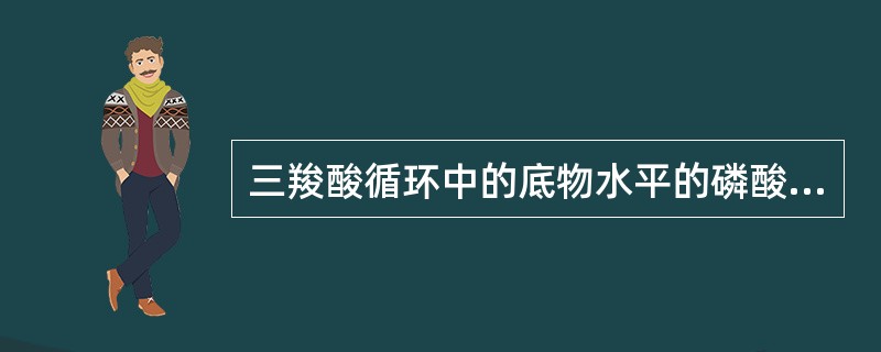 三羧酸循环中的底物水平的磷酸化次数是A、1次B、2次C、3次D、4次E、5次 -