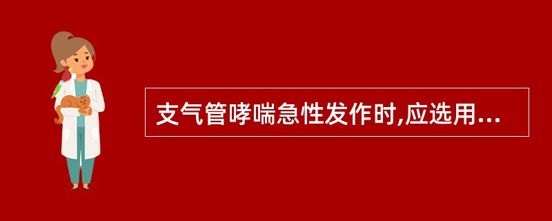 支气管哮喘急性发作时,应选用A、异丙肾上腺素气雾吸入B、麻黄碱口服C、氨茶碱口服