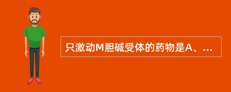 只激动M胆碱受体的药物是A、乙酰胆碱B、毛果芸香碱C、新斯的明D、阿托品E、毒扁