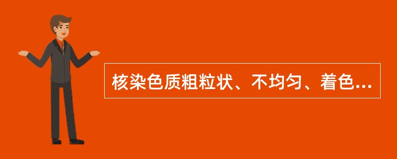 核染色质粗粒状、不均匀、着色深,核仁较大、界限不清,胞浆深蓝色,浓稠、不均匀,核