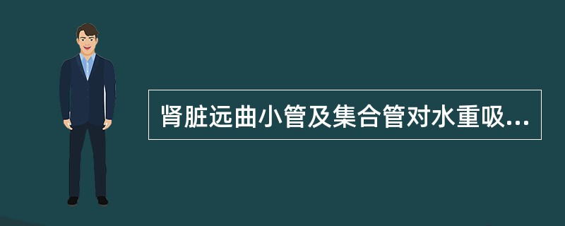 肾脏远曲小管及集合管对水重吸收受何种激素支配