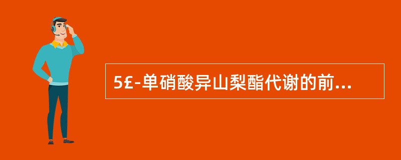 5£­单硝酸异山梨酯代谢的前体化合物是A、对乙酰氨基酚B、克伦特罗C、氯贝丁酯D