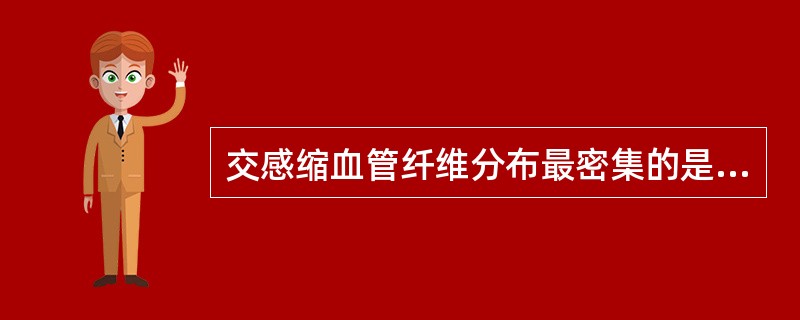 交感缩血管纤维分布最密集的是A、皮肤血管B、冠状血管C、骨骼肌血管D、胃肠道血管