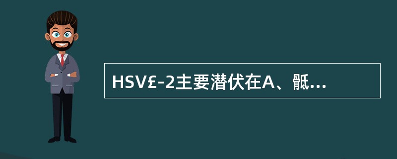 HSV£­2主要潜伏在A、骶神经节B、口唇皮肤C、三叉神经节D、颈上神经节E、局