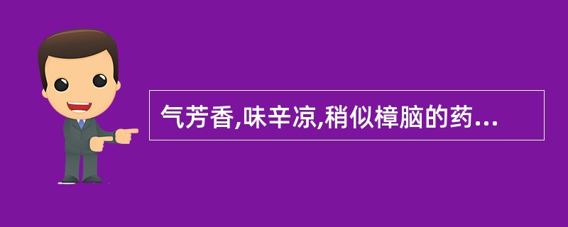 气芳香,味辛凉,稍似樟脑的药材是A、豆蔻B、五味子C、栀子D、山楂E、木瓜 -