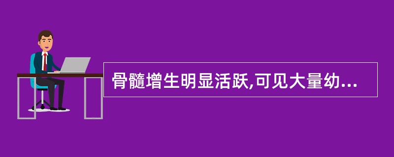 骨髓增生明显活跃,可见大量幼稚细胞。此类细胞占80%,核形折叠、扭曲,可见核仁。