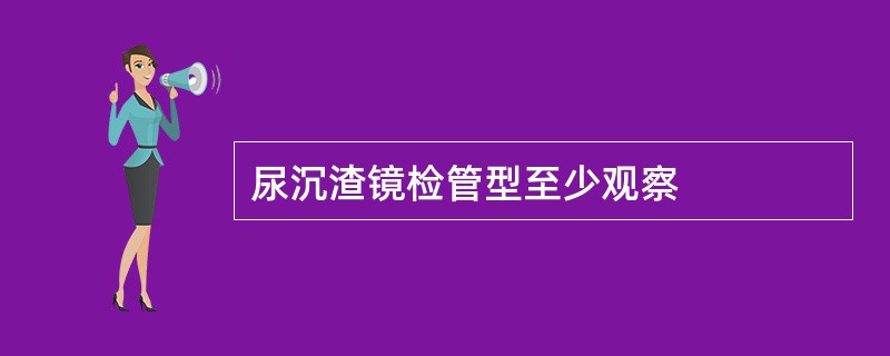 尿沉渣镜检管型至少观察