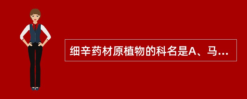 细辛药材原植物的科名是A、马兜铃科B、蓼科C、毛茛科D、苋科E、唇形科