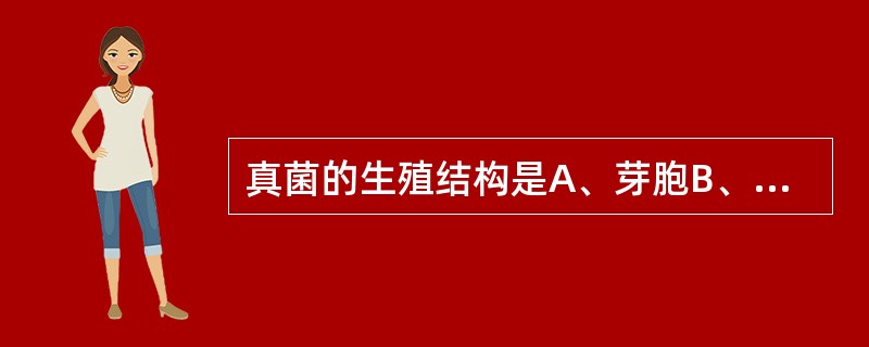 真菌的生殖结构是A、芽胞B、孢子C、菌丝D、菌丝体E、叶绿素