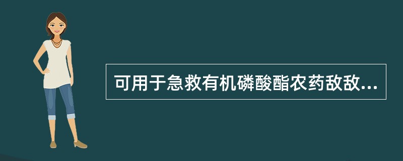 可用于急救有机磷酸酯农药敌敌畏中毒的药物是A、新斯的明B、毛果芸香碱C、毒扁豆碱