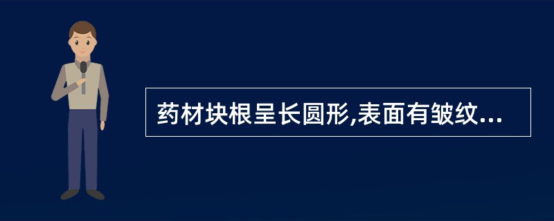 药材块根呈长圆形,表面有皱纹,断面角质样,内皮层环纹明显的是