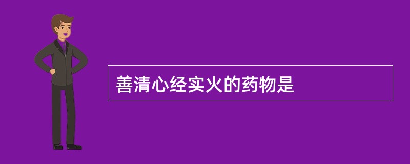 善清心经实火的药物是