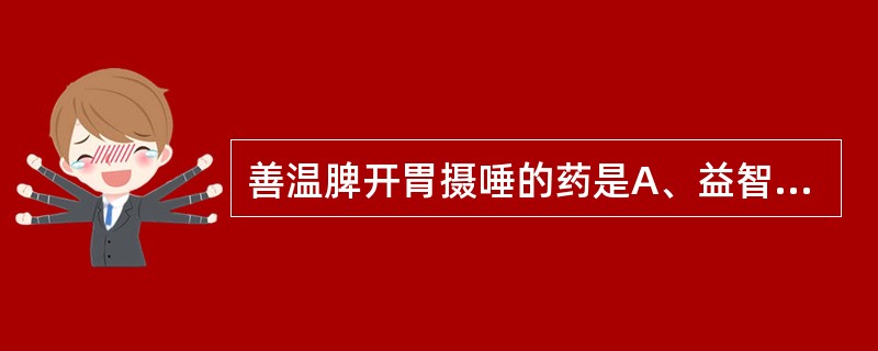 善温脾开胃摄唾的药是A、益智仁B、白豆蔻C、补骨脂D、沙苑子E、草豆蔻