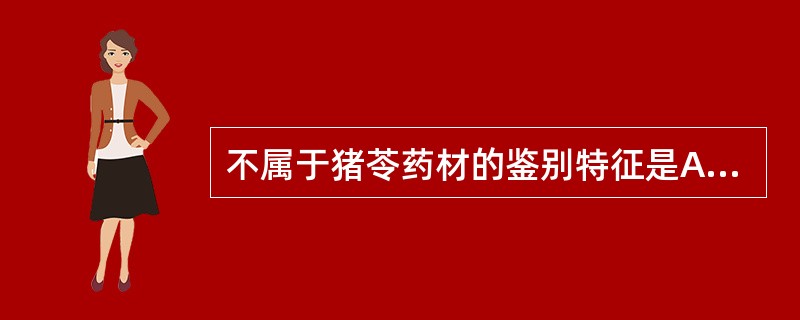 不属于猪苓药材的鉴别特征是A、表面灰黑色或棕黑色,有瘤状突起B、呈不规则条形、块