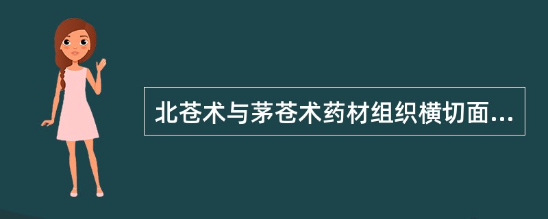 北苍术与茅苍术药材组织横切面的区别特征是A、皮层无油室B、北苍术木栓层无石细胞带