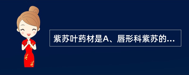 紫苏叶药材是A、唇形科紫苏的叶B、五加科紫苏的叶C、蔷薇科紫苏的小叶D、茄科紫苏