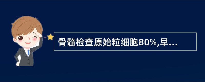 骨髓检查原始粒细胞80%,早幼粒细胞12%,中性分叶核粒细胞6%,应诊断为