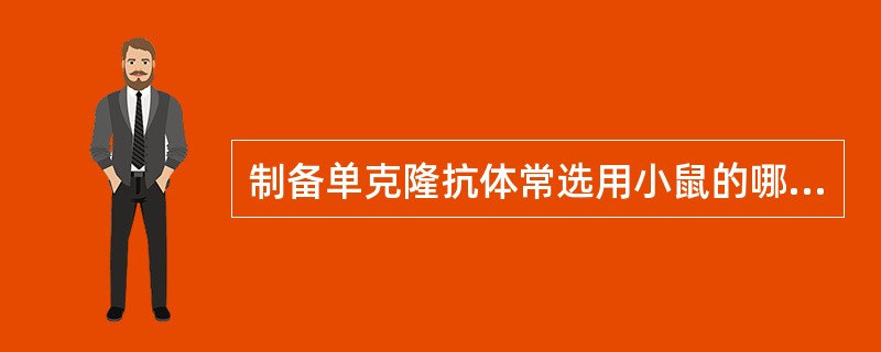 制备单克隆抗体常选用小鼠的哪类细胞作为饲养细胞