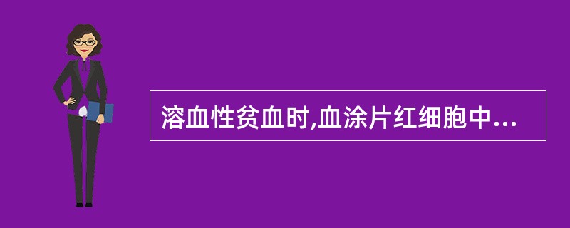 溶血性贫血时,血涂片红细胞中常可见到