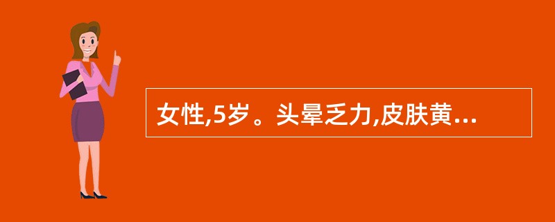 女性,5岁。头晕乏力,皮肤黄染2个月就诊。体检:中度贫血貌,巩膜轻度黄染,脾肋下