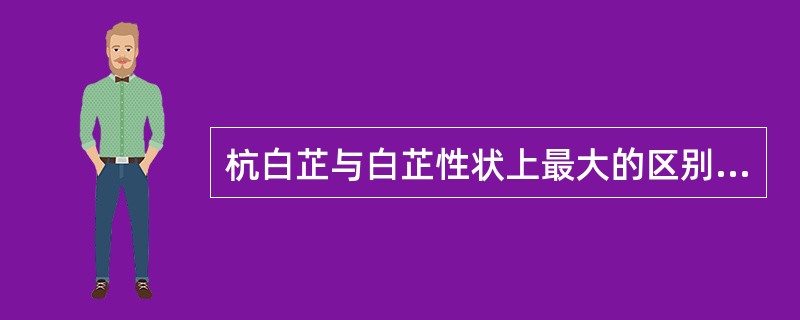 杭白芷与白芷性状上最大的区别是A、根的形状B、外表颜色C、皮孔样横向突起,排列成