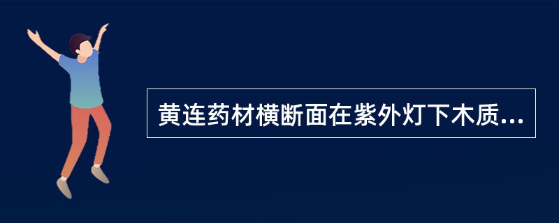 黄连药材横断面在紫外灯下木质部显A、淡黄色荧光B、淡蓝色荧光C、金黄色荧光D、蓝