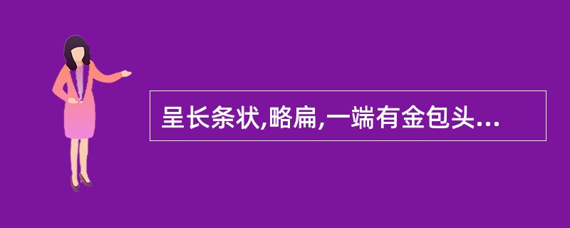 呈长条状,略扁,一端有金包头,味微甜略苦,带黏性的药材是