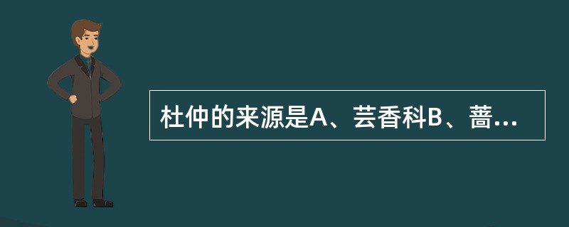 杜仲的来源是A、芸香科B、蔷薇科C、豆科D、杜仲科E、忍冬科