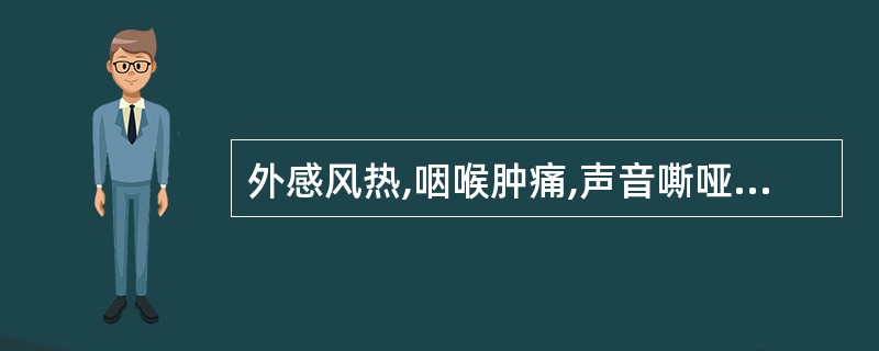 外感风热,咽喉肿痛,声音嘶哑者,首选的药物是