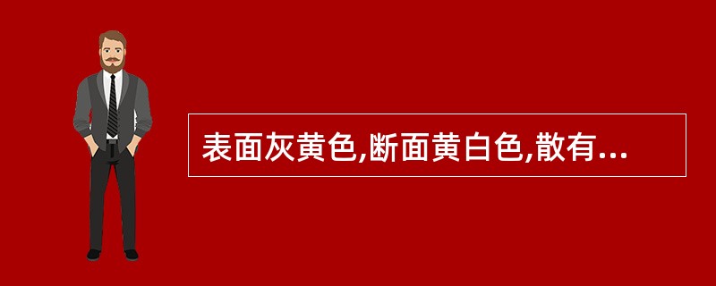 表面灰黄色,断面黄白色,散有棕黄色油点,气清香,味甘、微辛,嚼之略带黏性的中药材