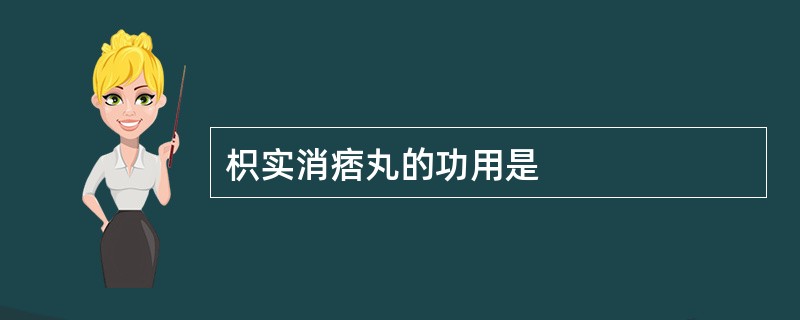 枳实消痞丸的功用是