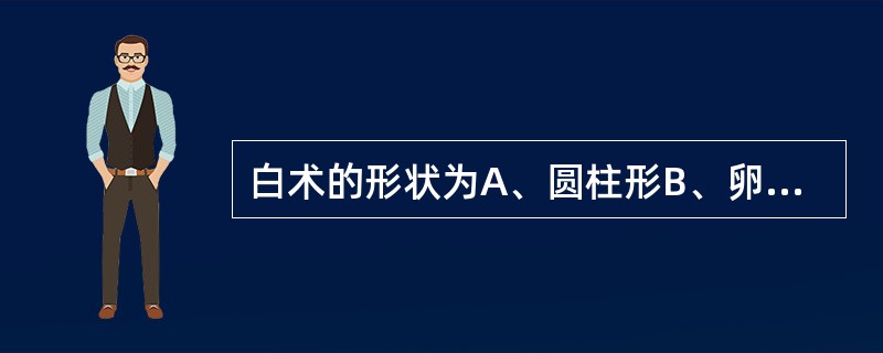 白术的形状为A、圆柱形B、卵圆形C、圆锥形D、拳形E、纺锤形