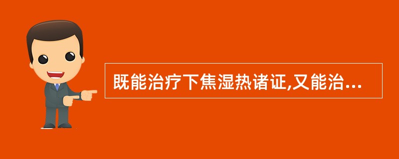 既能治疗下焦湿热诸证,又能治疗阴虚发热的药物是A、黄芩B、黄连C、知母D、黄柏E